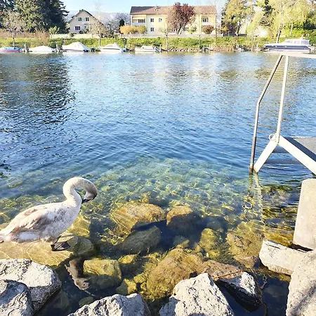 公寓 Casa Jean-jacques Rousseau *