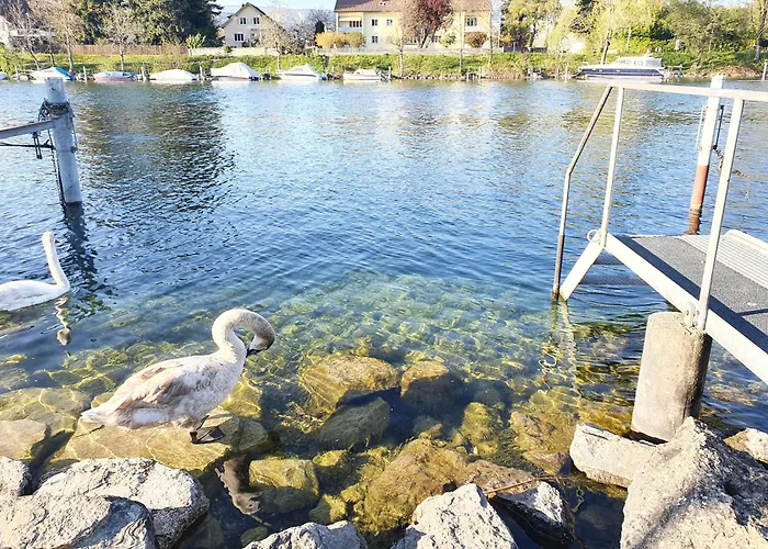 Διαμέρισμα Casa Jean-jacques Rousseau *